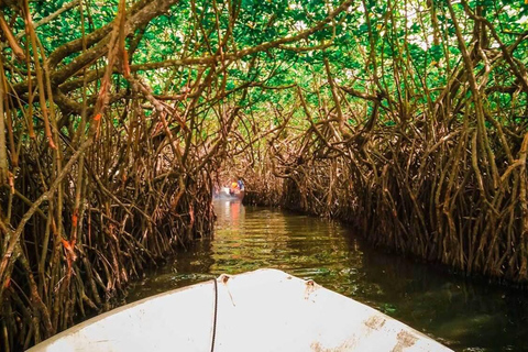 Sri Lanka : Circuit de découverte de la côte sud à la capitale de la culture