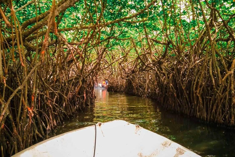 Sri Lanka : Circuit de découverte de la côte sud à la capitale de la culture