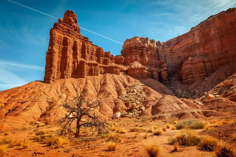 Utah: excursão autônoma do Parque Nacional do Capitol Reef | GetYourGuide