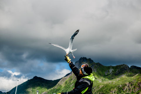 From Svolvaer: Sea Eagle Safari to Trollfjord