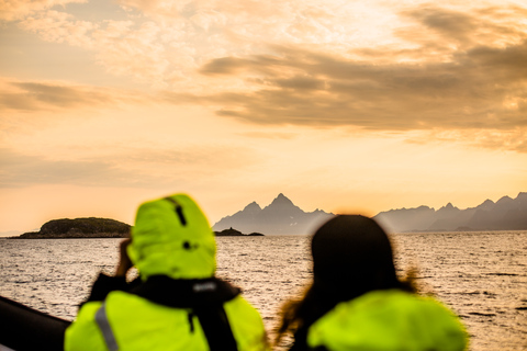 Desde Svolvaer: Safari con águilas marinas a Trollfjord