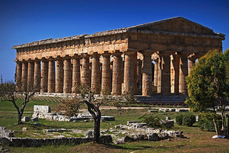 From Naples: Paestum Day Trip with Mozzarella Tasting