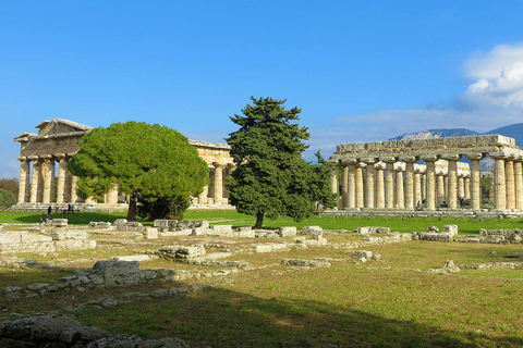 From Naples: Paestum Day Trip with Mozzarella Tasting