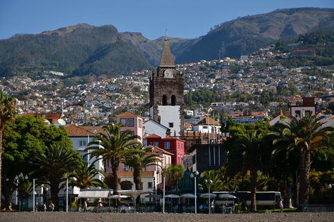 Funchal: 1 timmes privat stadsrundtur med Tuk Tuk på Tukway