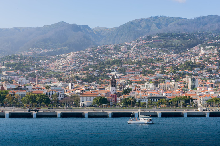 Funchal: Explore os pontos turísticos da cidade em um passeio de Tuk-Tuk de 2 horasFunchal: Explore os pontos turísticos da cidade em um passeio de Tuk-Tuk