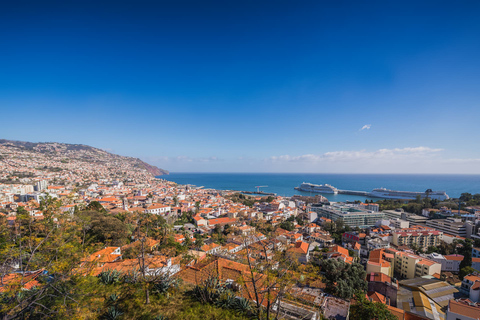 Funchal: Explore os pontos turísticos da cidade em um passeio de Tuk-Tuk de 2 horasFunchal: Explore os pontos turísticos da cidade em um passeio de Tuk-Tuk