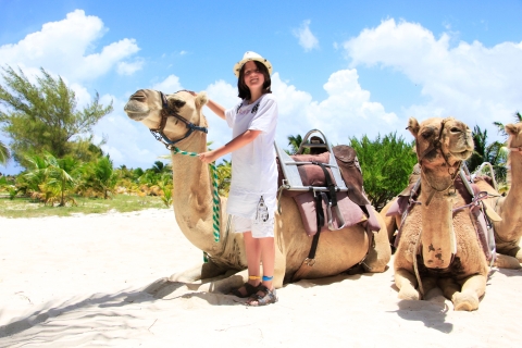 Riviera Maya: expedición en caravana de camellos y acceso al club de playaDesde Cancún y Puerto Morelos