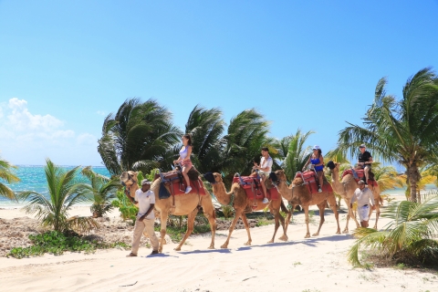 Riviera Maya: expedición en caravana de camellos y acceso al club de playaDesde Riviera Maya y Playa del Carmen