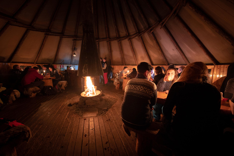 Tromsø: Fortgeschrittene Schneemobiltour mit Essen und Transfer