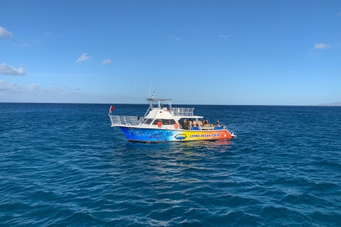 Waikiki: crucero BYOB al atardecer con refrigeriosCrucero al atardecer
