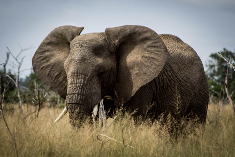 Livingstone: Mosi-oa-Tunya Park, Falls & Sunset Cruise