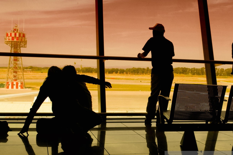 Roma: Trasferimento aeroporto Fiumicino/Ciampino a Roma/Viceversa