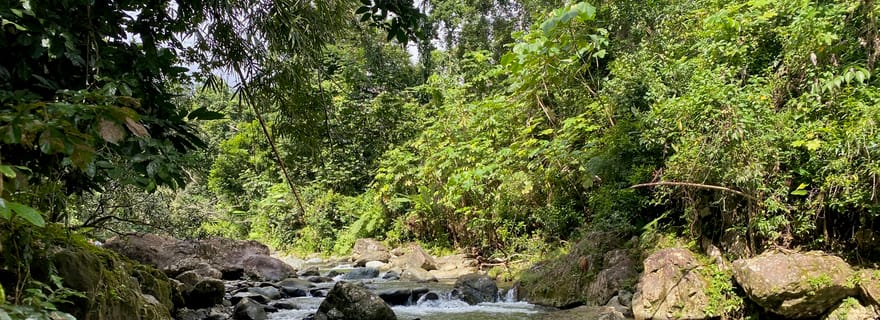 Sentier secret vers les chutes de Tinajas (forêt tropicale d'El Yunque)