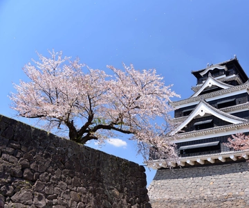 Visita guiada ao Castelo de Kumamoto com moradores locais
