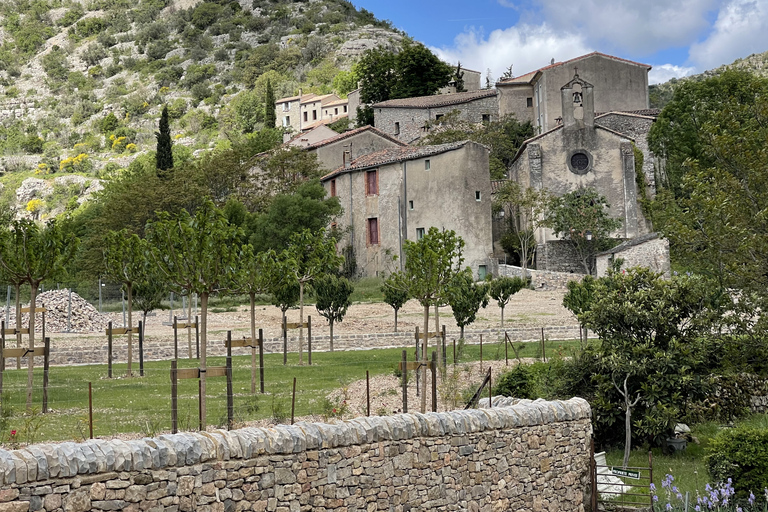 Montpellier: Cirque de Navacelles & Foux de la Vis Day Trip