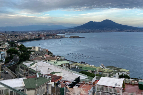 Ercolano: Half-Day Sightseeing Tour to Vesuvius