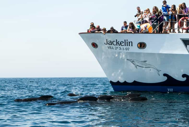 Tarifa : Observation Des Baleines Et Des Dauphins Dans Le Détroit De ...