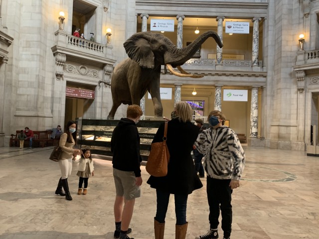 Visit Smithsonian National Museum of Natural History Guided Tour in Washington D.C.