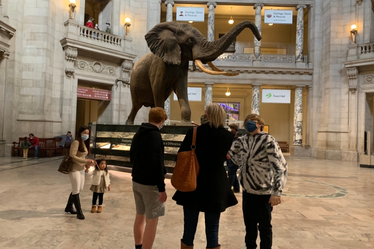Visite guidée du musée national d'histoire naturelle du SmithsonianWashington DC : visite guidée du Smithsonian National Museum