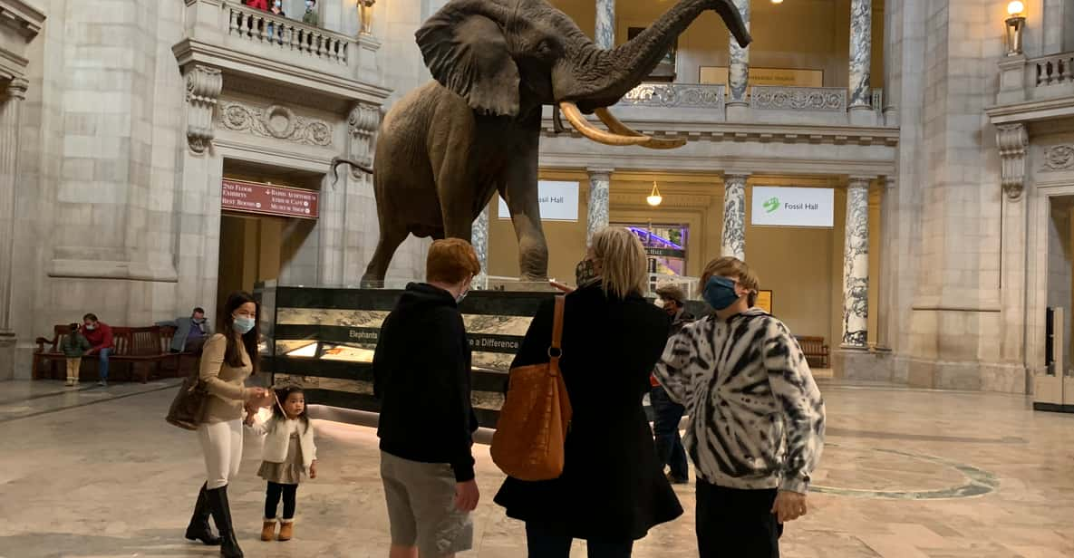 Smithsonian National Museum Of Natural History Guided Tour | GetYourGuide