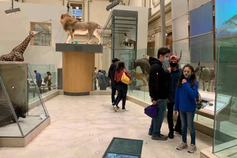 Rondleiding door Smithsonian National Museum of Natural HistoryWashington DC: rondleiding door het Smithsonian National Museum