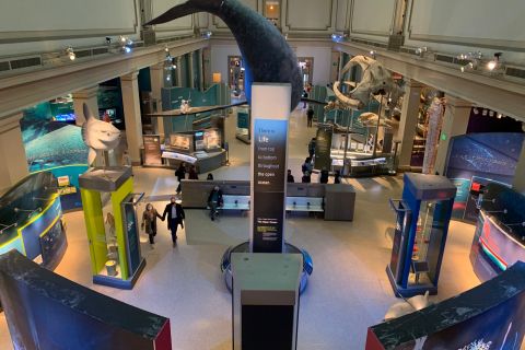 Visita guidata del Museo Nazionale di Storia Naturale Smithsonian