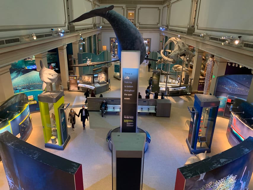 Do-It-Yourself Exhibits  Smithsonian National Museum of Natural