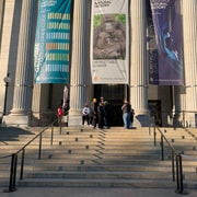 Smithsonian National Museum Of Natural History Guided Tour | GetYourGuide