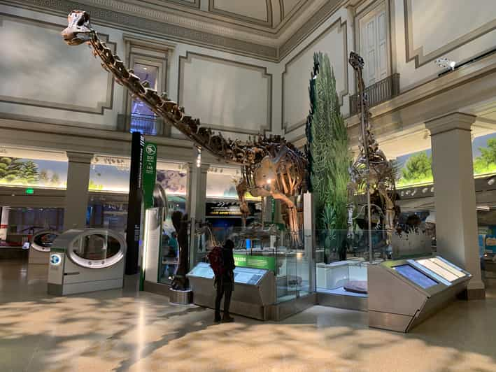 Smithsonian National Museum of Natural History Guided Tour GetYourGuide