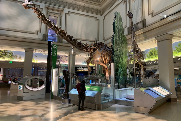 Visite guidée du musée national d'histoire naturelle du SmithsonianWashington DC : visite guidée du Smithsonian National Museum