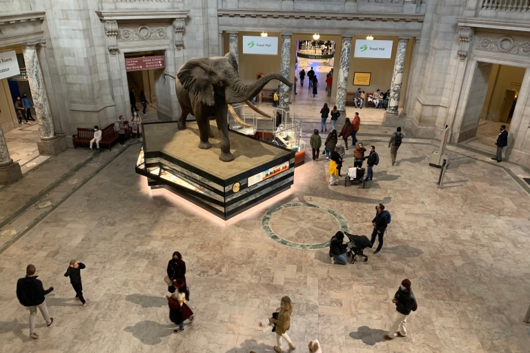 Visita guiada al Museo Nacional Smithsonian de Historia NaturalWashington DC: visita guiada al Museo Nacional Smithsonian