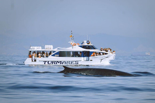 Tarifa image