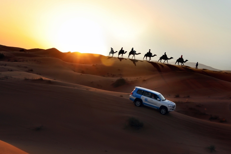 Dubai: Red Dune Safari and Camel Ride at Al Marmoom Oasis Shared Tour