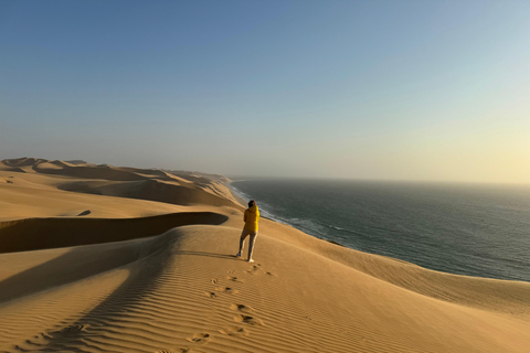 Walvisbay: Sandwich Harbour 4x4 Tour-Unparalleled Experience