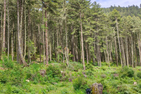 7 Day Budget-Friendly Bhutan Tour with All-Inclusive Service