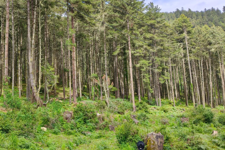 7 Day Budget-Friendly Bhutan Tour with All-Inclusive Service