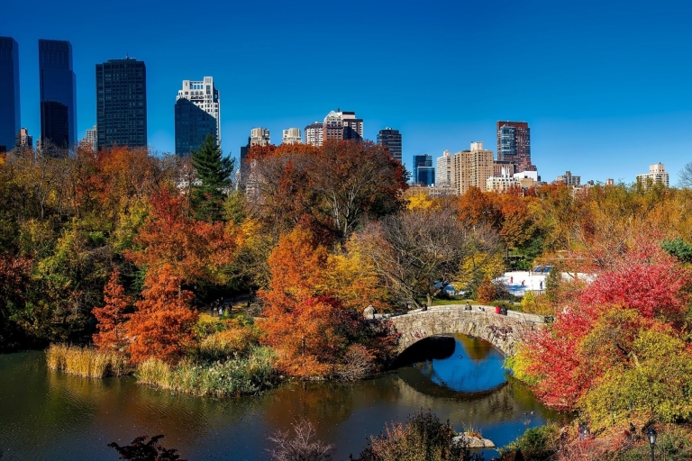 NYC: Central Park Attractions Smartphone Puzzle Quest New York City: City Attractions Smartphone Puzzle Quest