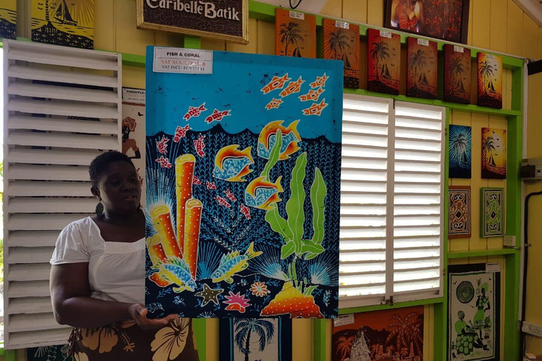 St. Kitts: Private Island Tour with Local Guide