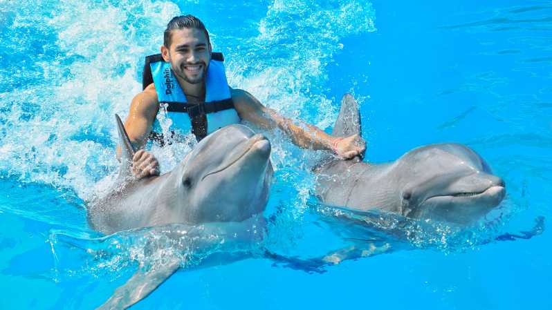 Puerto Aventuras: Dolphin Swim, Sea Lions, Manatees, & Lunch