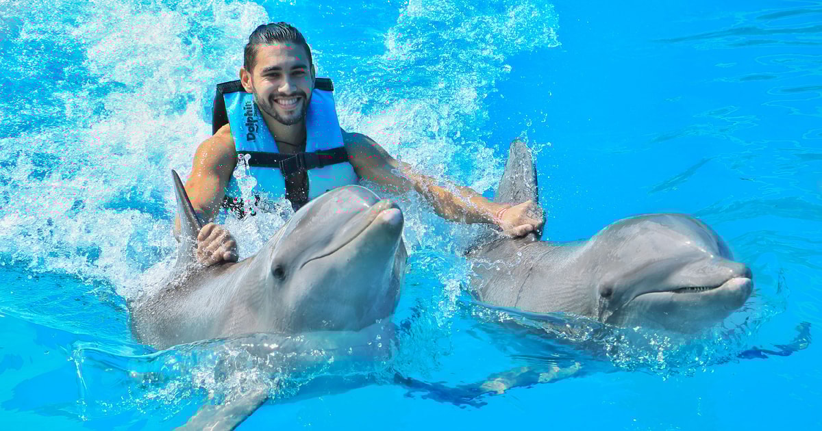 Puerto Aventuras: Delfinschwimmen, Seelöwen, Seekühe und Mittagessen