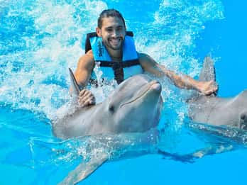 Puerto Aventuras : baignade avec les dauphins, lions de mer, lamantins et déjeuner