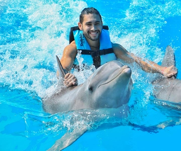 Puerto Aventuras : baignade avec les dauphins, lions de mer, lamantins et déjeuner