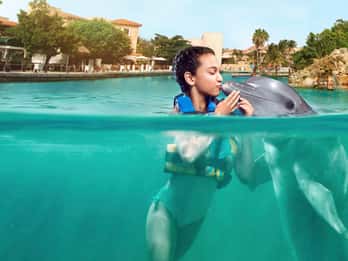 Puerto Aventuras : rencontre avec les dauphins avec déjeuner buffet