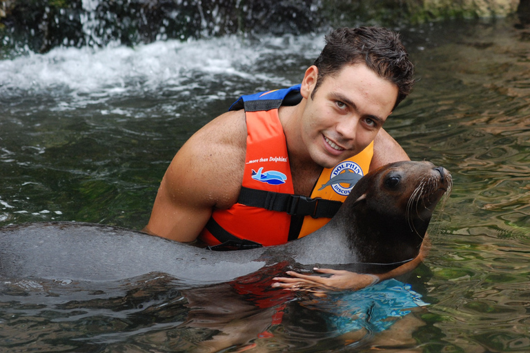 Puerto Aventuras: Sea Lion Discovery Ticket