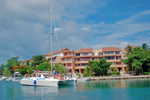 Puerto Aventuras: Sea Lion Discovery Ticket