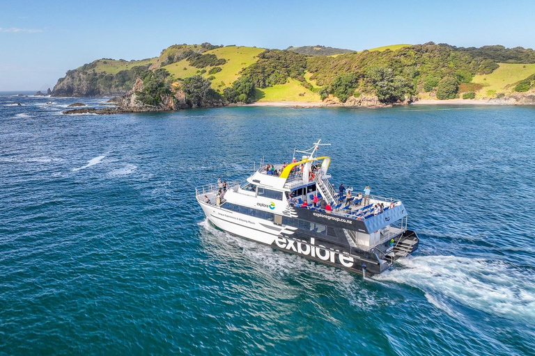 From Auckland: Hole in the rock cruise tour