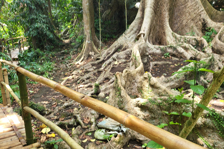 Hidden Valley Springs | Lunch | Taal Volcano Viewing (2in1)