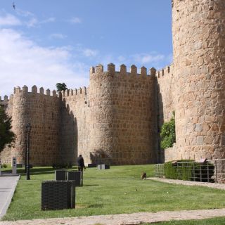 Ávila y Segovia: tour de día completo desde Madrid