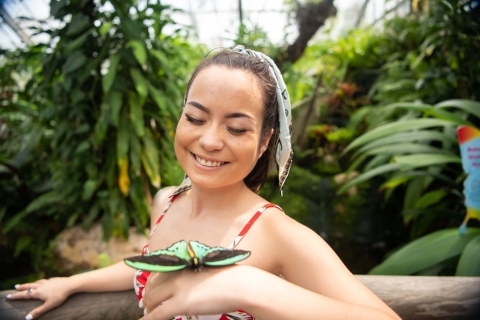 Cairns: sanctuaire australien des papillons