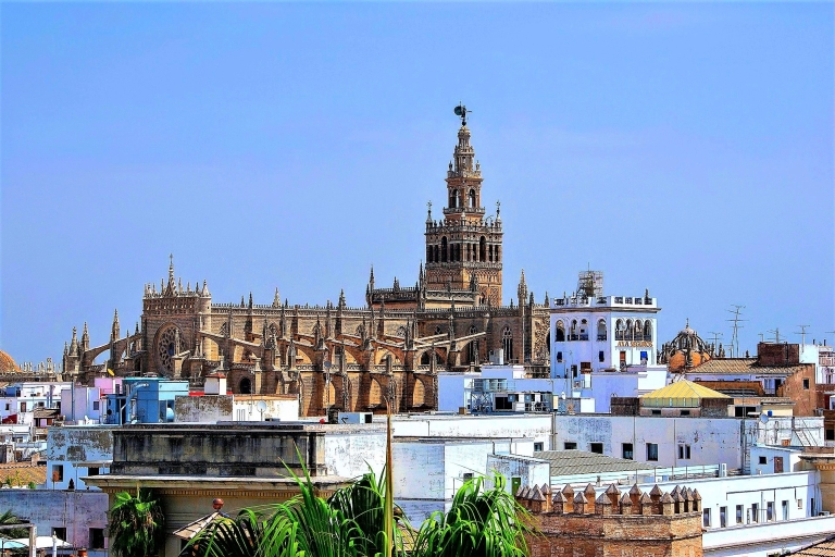 Desde la Costa del Sol: Sevilla y Reales AlcázaresExcursión privada con recogida en Málaga